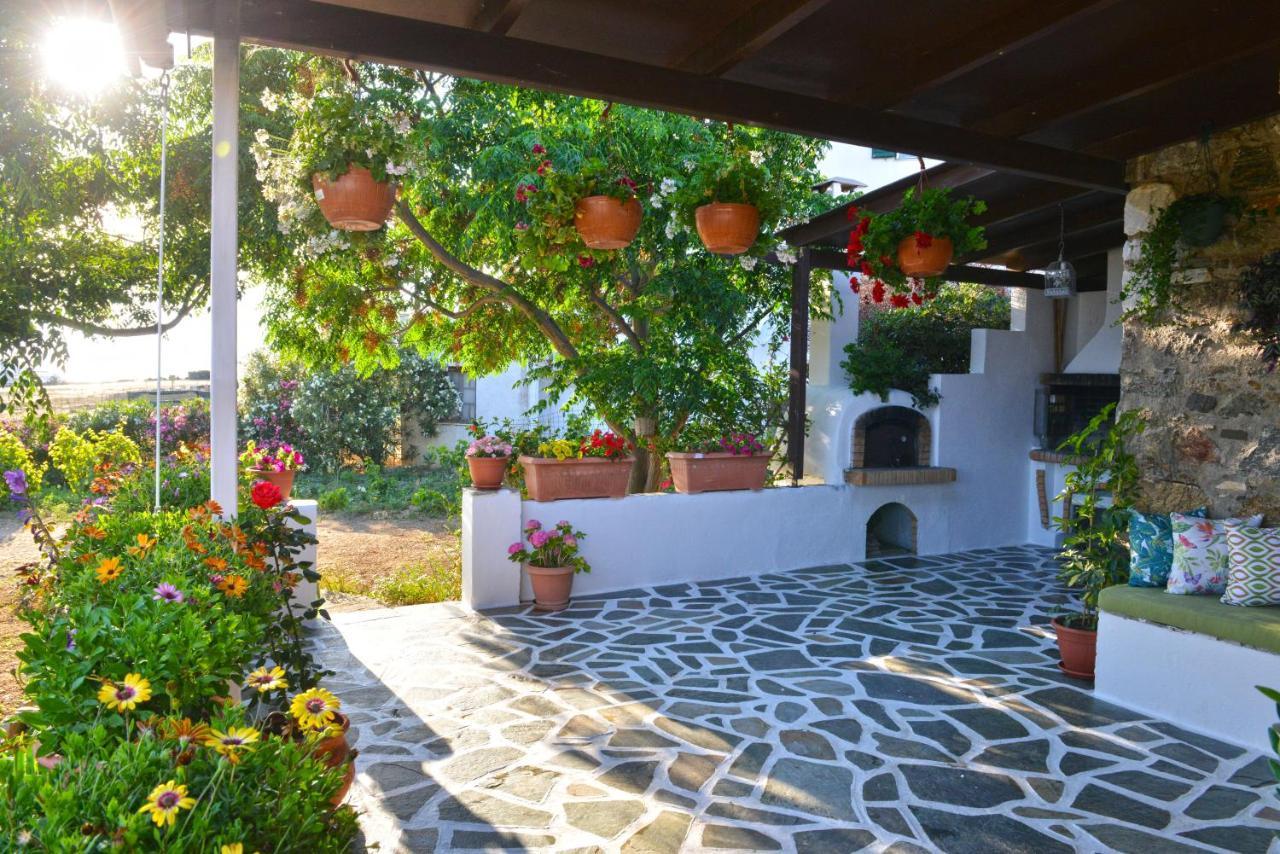 Naxos City Ktima Dimitrios 빌라 외부 사진