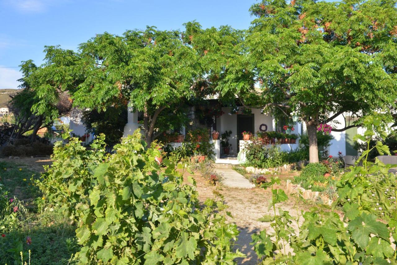 Naxos City Ktima Dimitrios 빌라 외부 사진