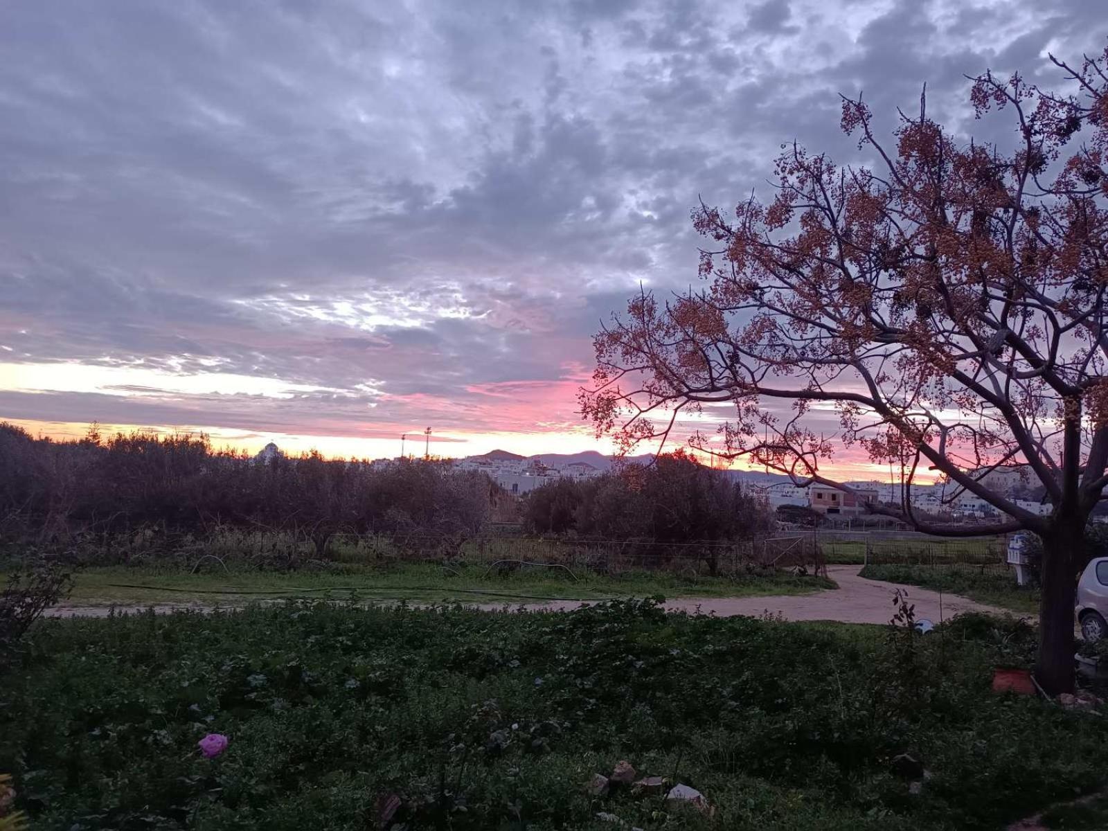 Naxos City Ktima Dimitrios 빌라 외부 사진